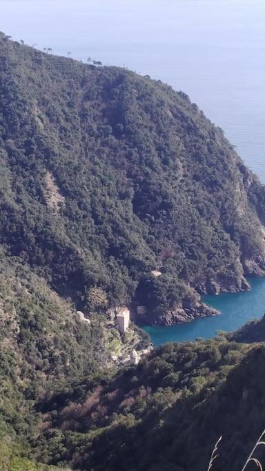 Casa Al Mare A Recco Apartment Bagian luar foto