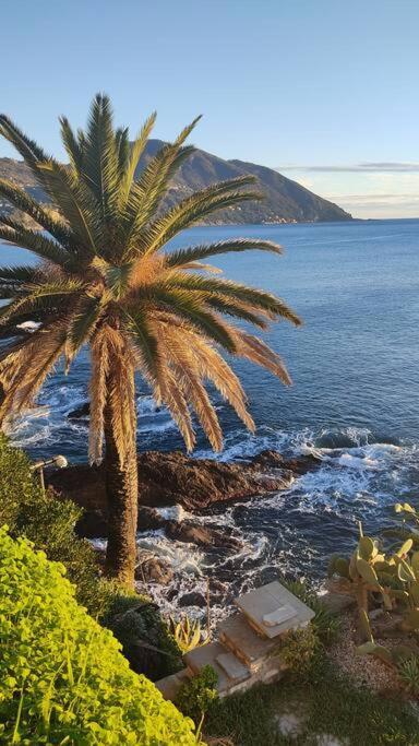 Casa Al Mare A Recco Apartment Bagian luar foto