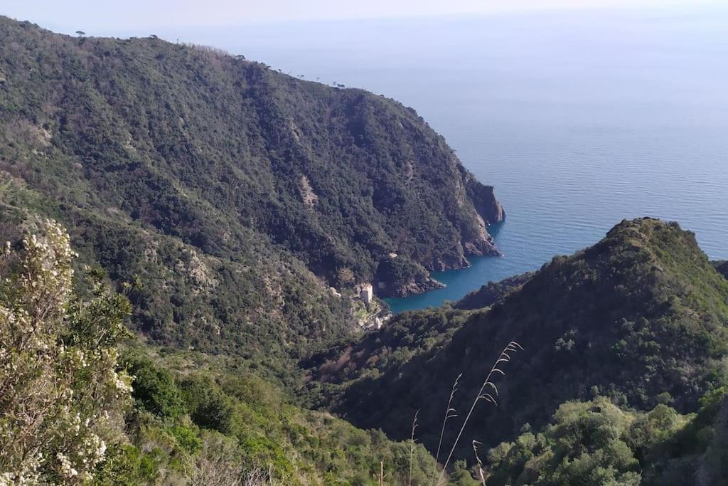 Casa Al Mare A Recco Apartment Bagian luar foto